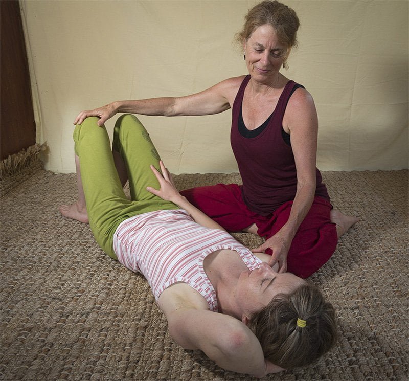 Dyana Wells, Somatics, Anatomy, Mindfulness and Philosophy teacher, Contemporary Yoga Teacher Training