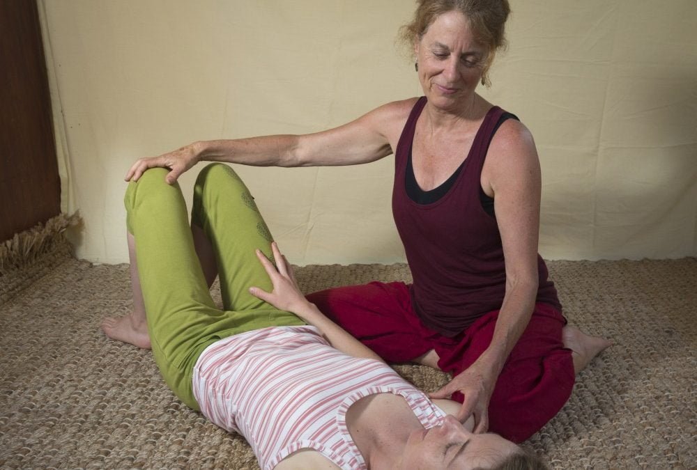 Dyana Wells, Somatics, Anatomy, Mindfulness and Philosophy teacher, Contemporary Yoga Teacher Training 1b