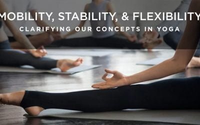 Mobility, Stability and Flexibility: Clarifying Our Concepts in Yoga