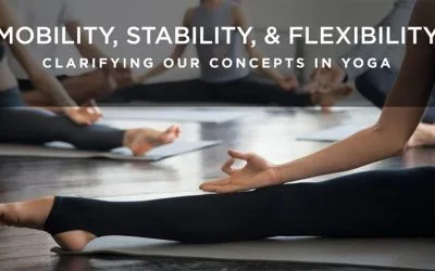 Mobility, Stability and Flexibility: Clarifying Our Concepts in Yoga