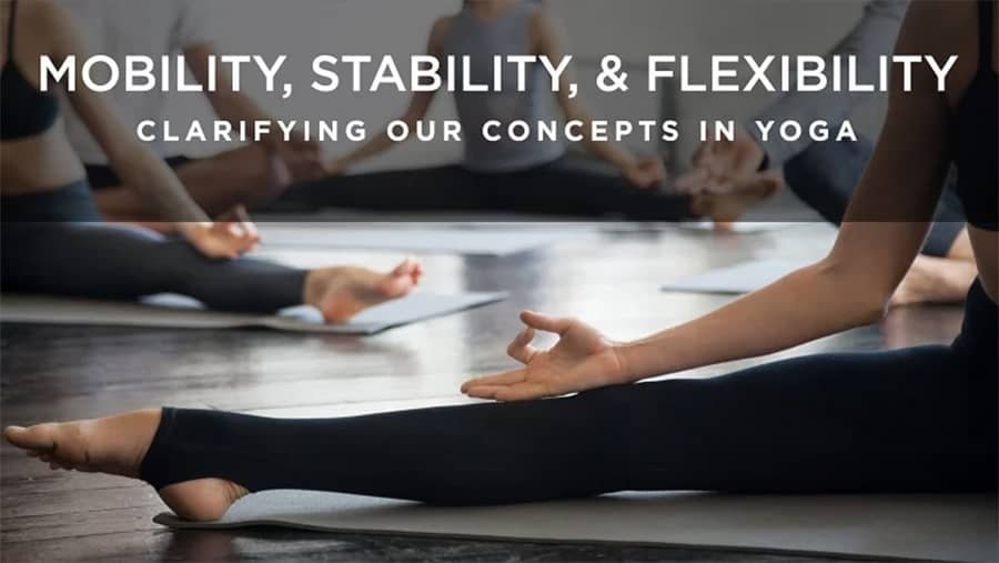 Mobility, Stability and Flexibility: Clarifying Our Concepts in Yoga