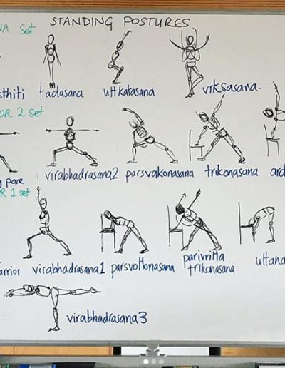 Contemporary Yoga Teacher Training, Standing Postures
