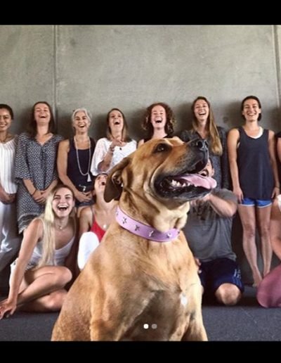 Contemporary Yoga Teacher Training, training group with local friendly dog