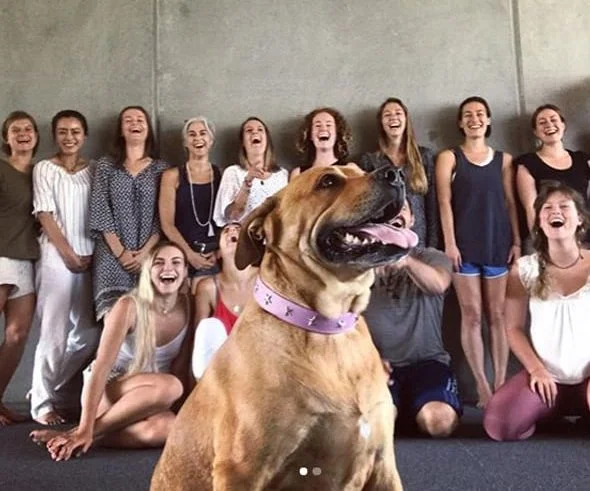 Contemporary Yoga Teacher Training, training group with local friendly dog