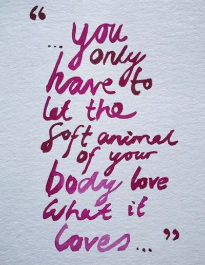 Soft Animal Of Your Body, by Mary Oliver (Wild Geese)