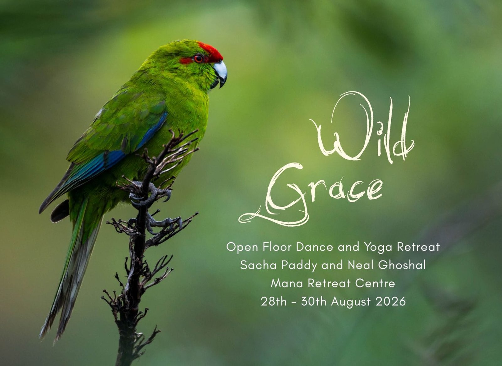 Wild Grace - Yoga and 5Rhythms Dance workshop with Neal Ghoshal and Sacha Paddy Wild Grace Retreat with Neal Ghoshal and Sacha Paddy, 2026, Yoga and Open Floor Dance